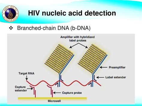 Technical Update for HIV Nucleic Acid Tests Approved for Diagnostic.
